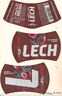 Lech Blackberry Cherry